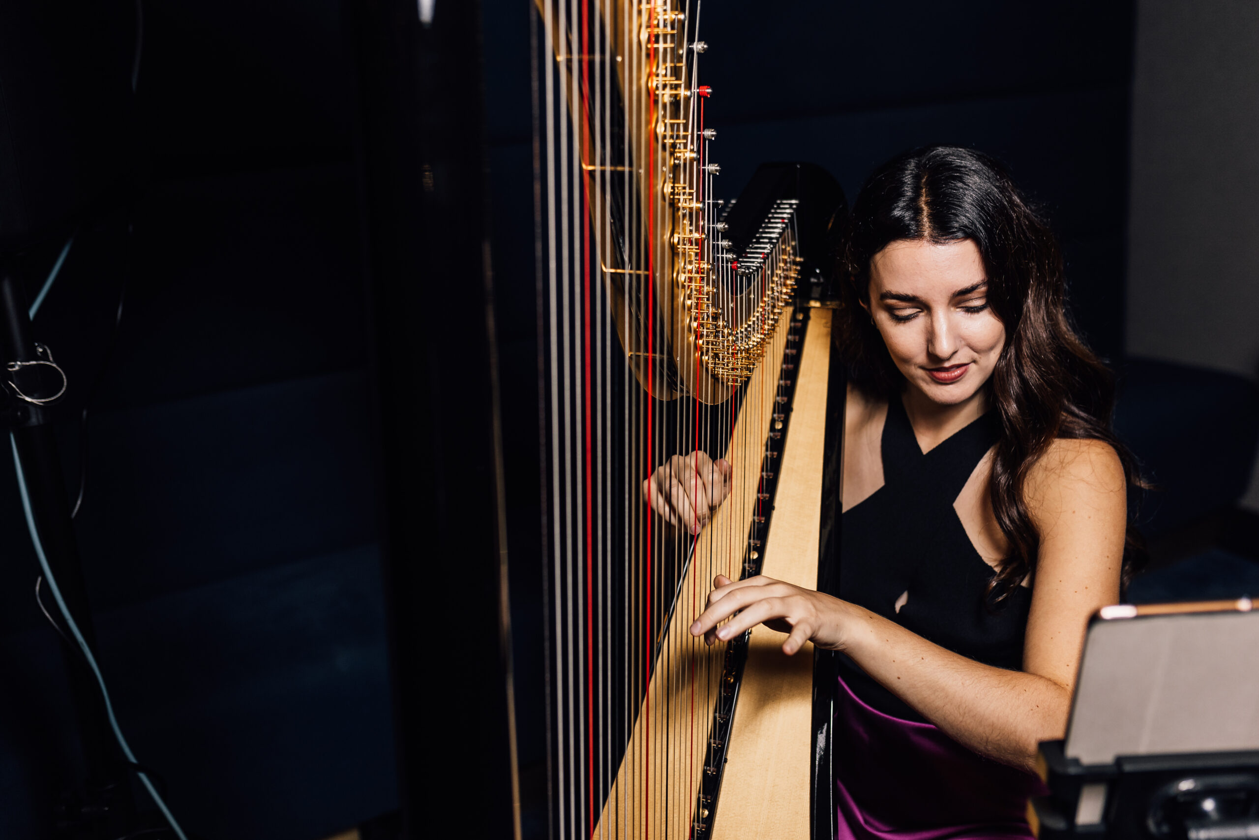 Steph Harp