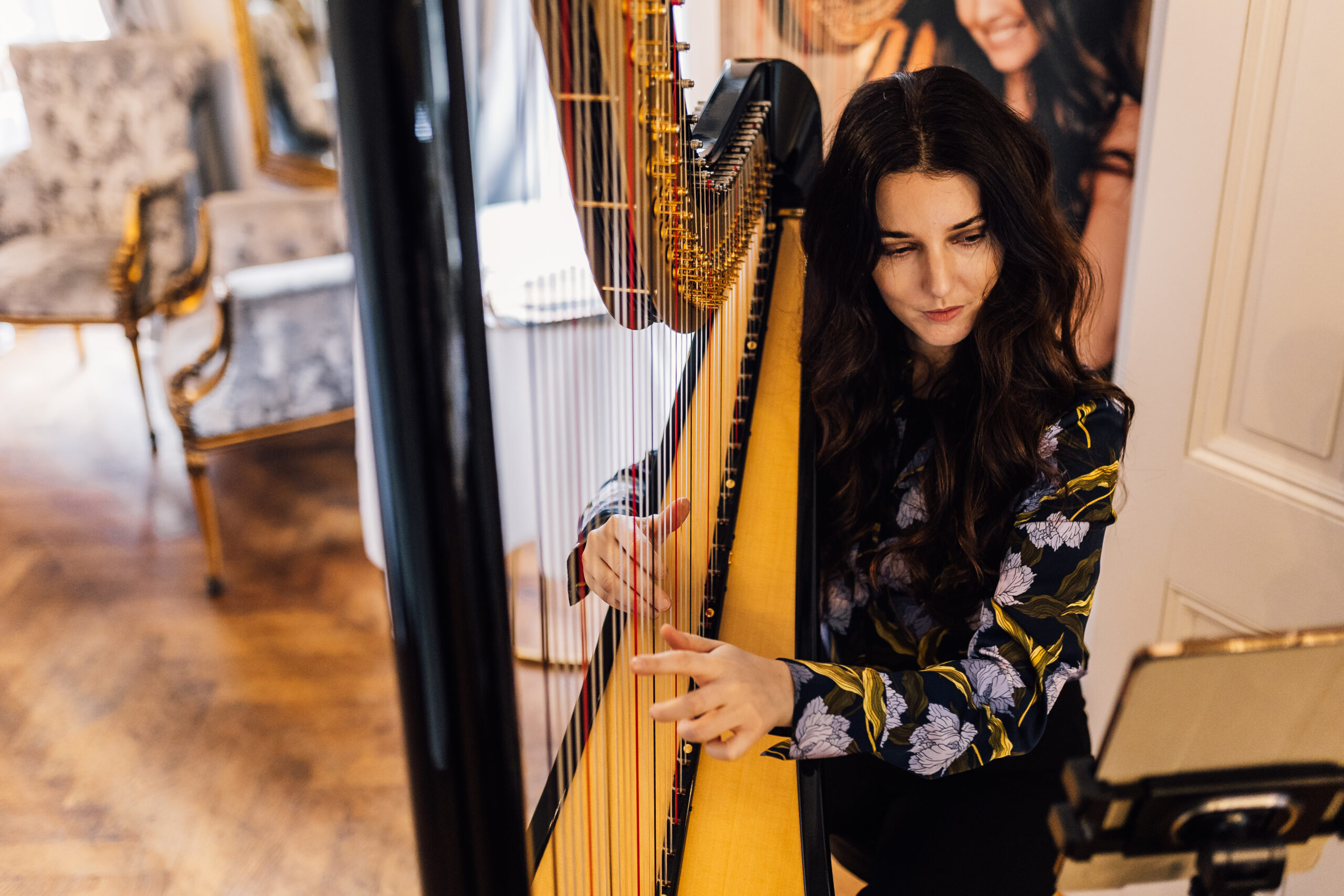 Steph Harp