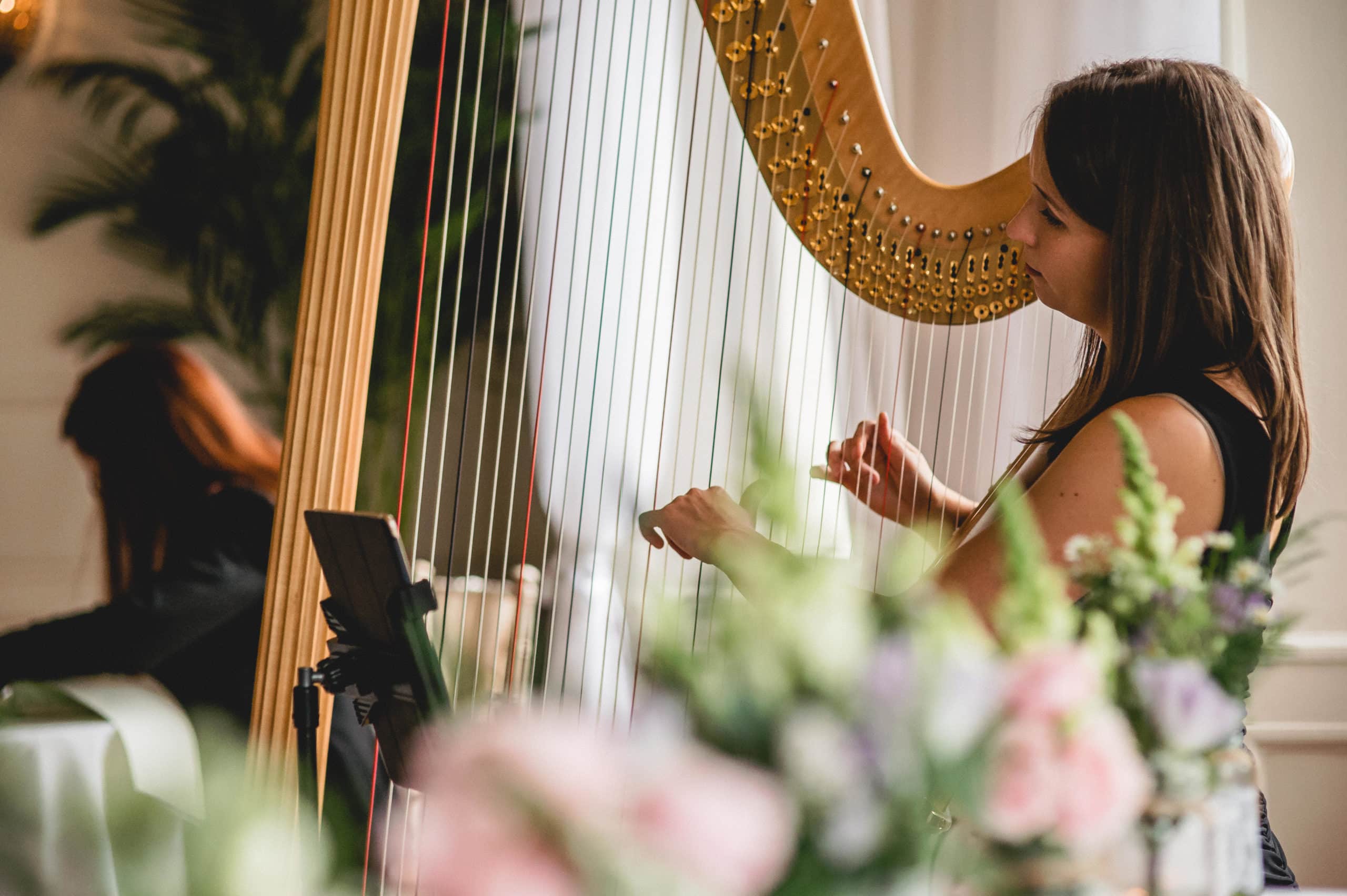 Elinor Harp