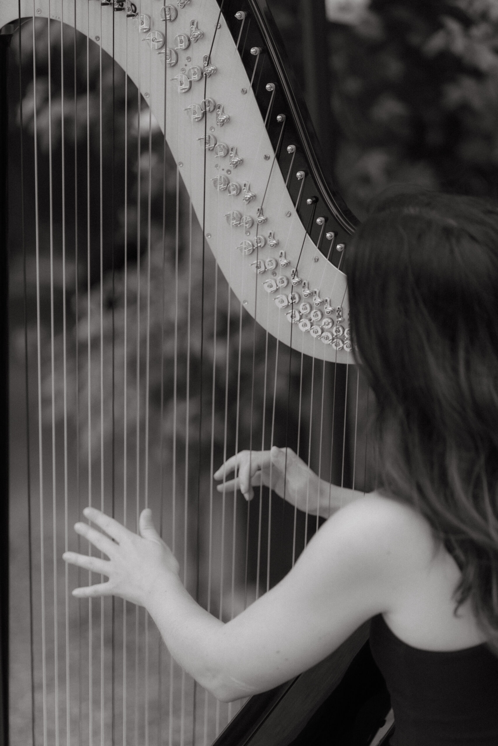 Steph Harp