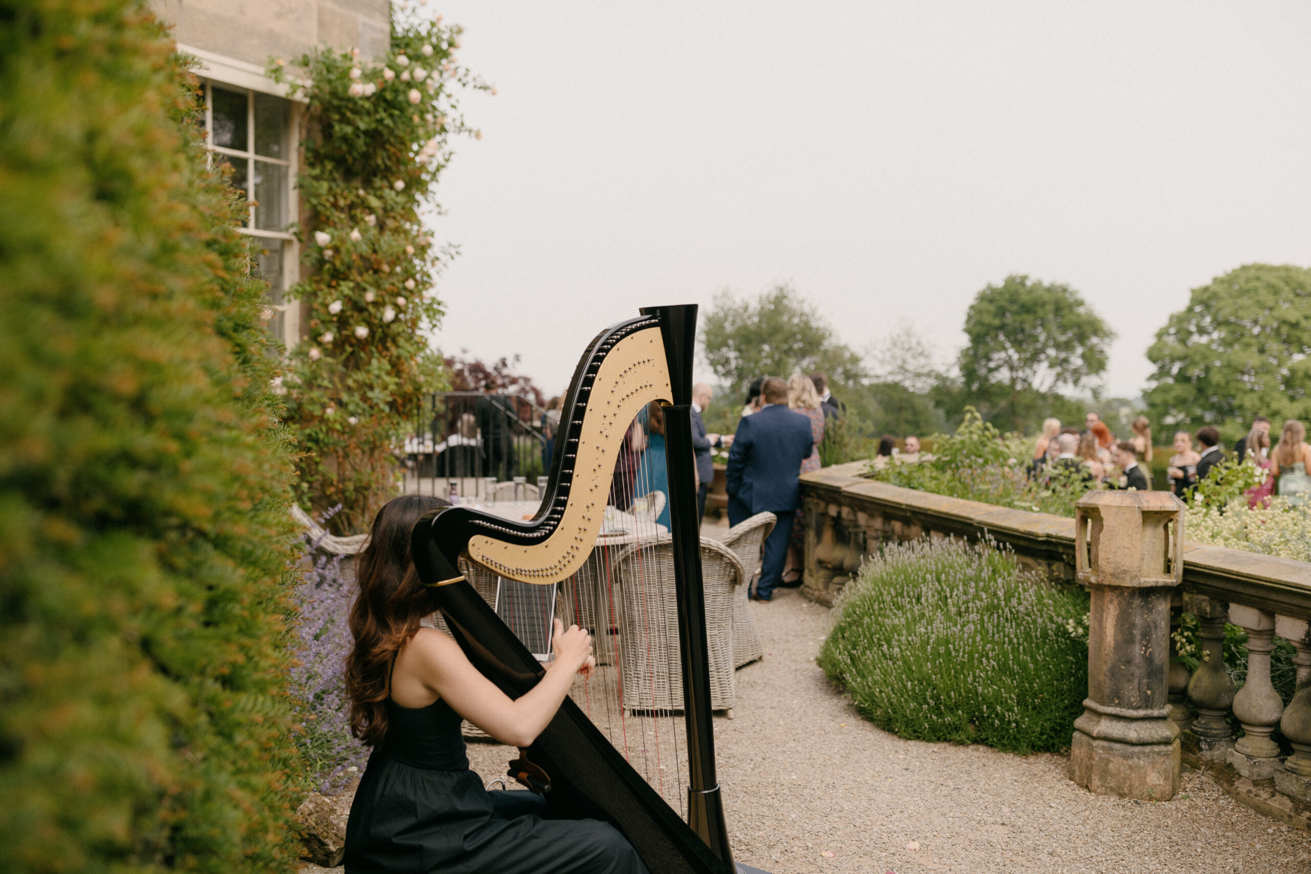 Steph Harp