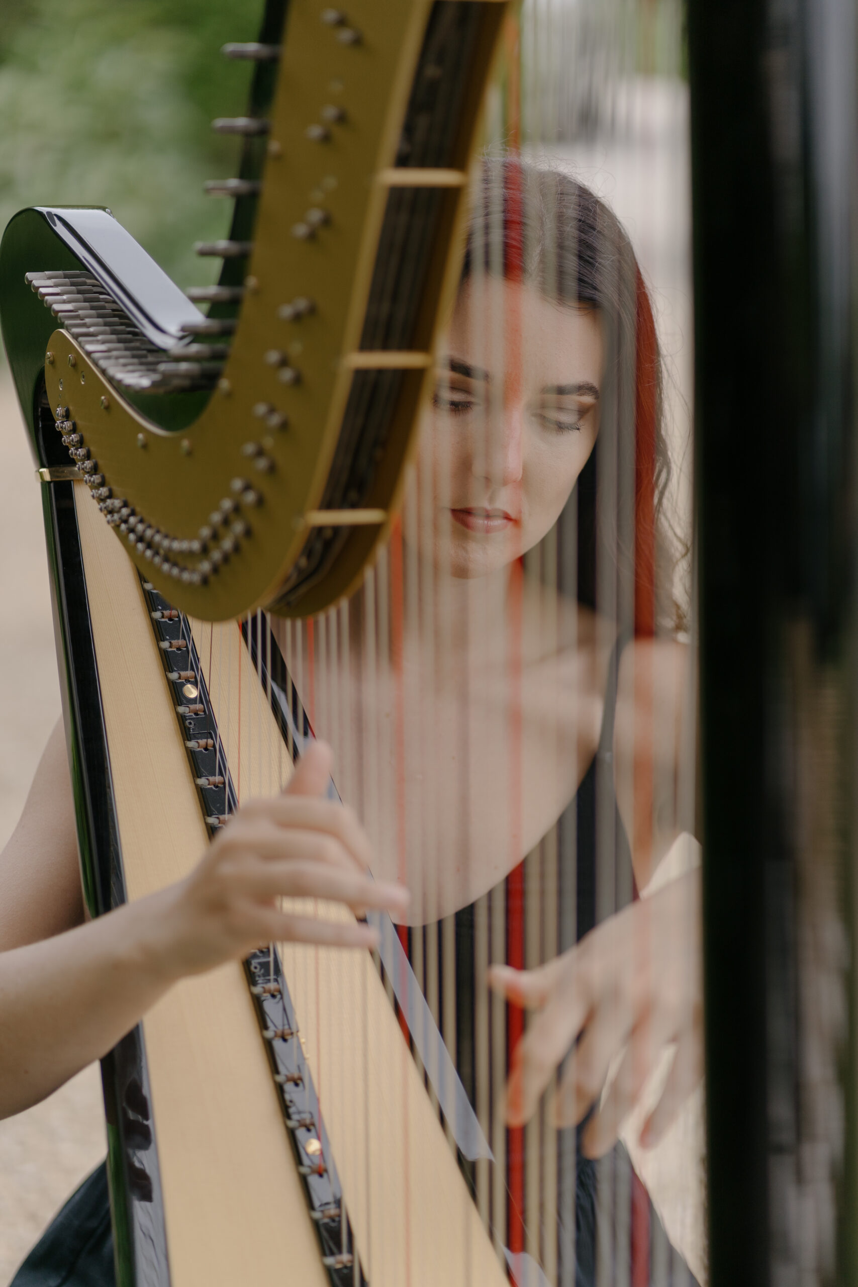 String Bands For Hire
