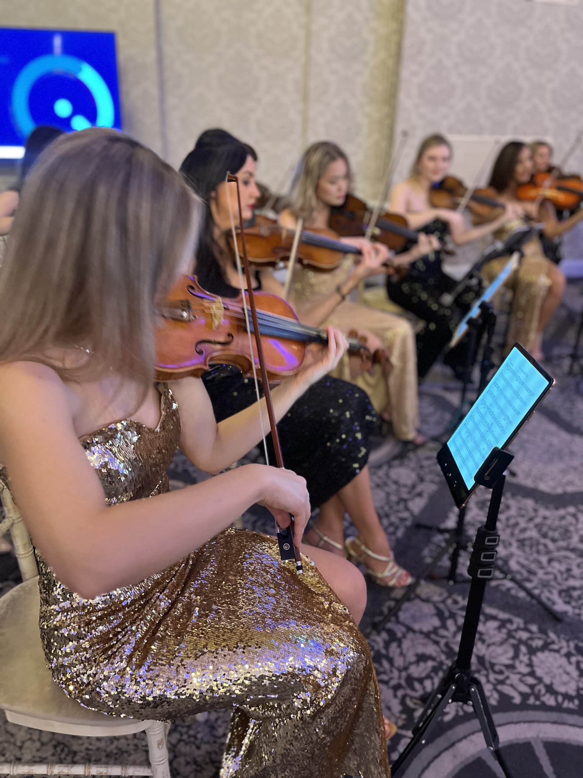 Secret String Orchestra