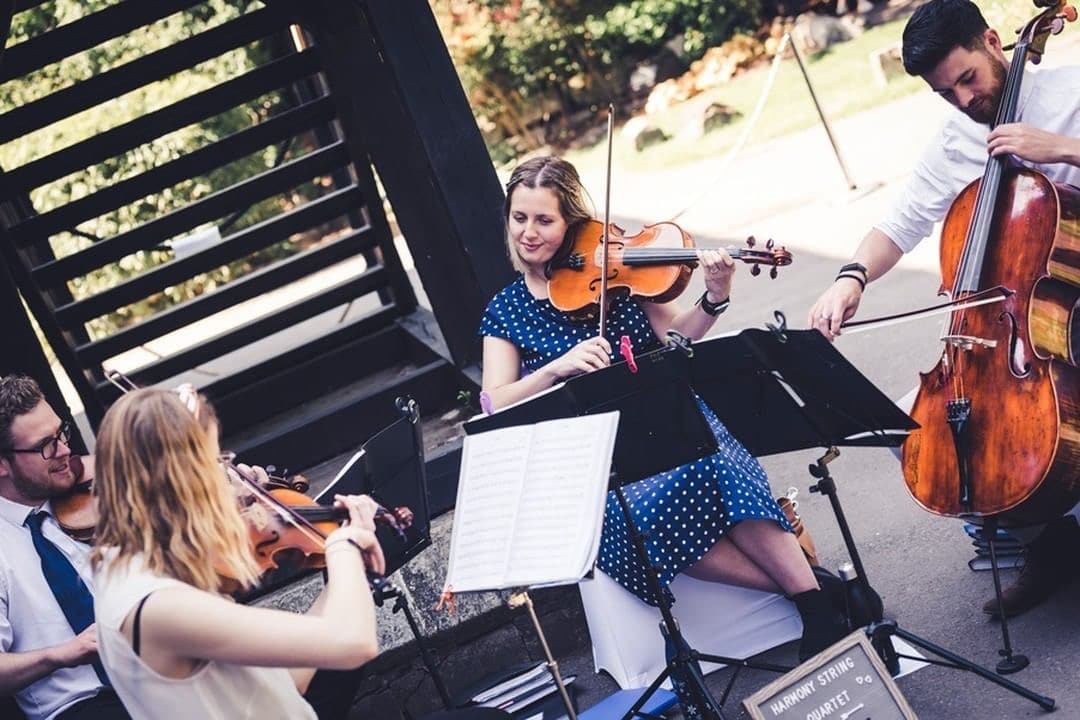 harmony string quartet